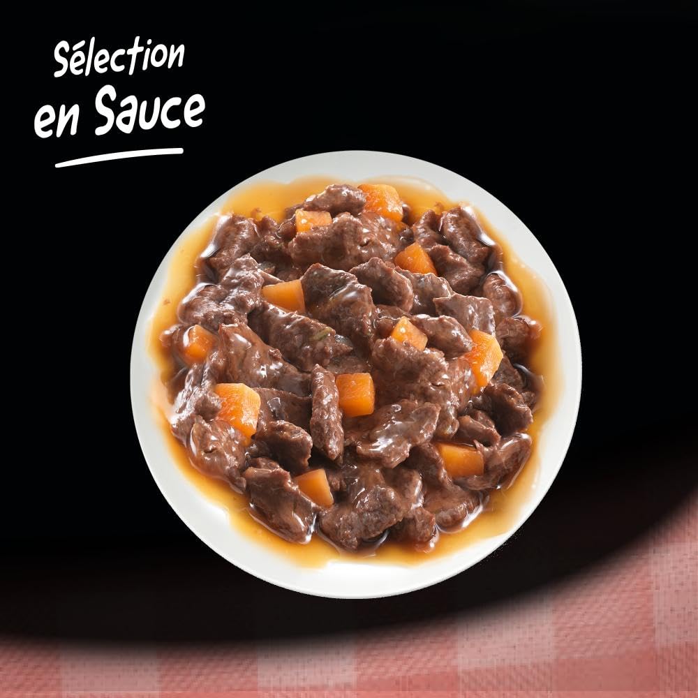 CESAR Repas pour Chien - 48 Sachets Fraîcheur (Lot de 4 Packs 12x100g) - Pâtée pour Chien en Sauce - Boeuf/Poulet/Agneau/Dinde - Nourriture Complète & Equilibrée avec des Ingrédients Naturels