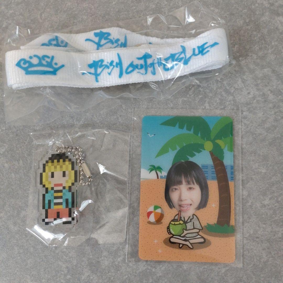 Amazon.co.jp: BiSH セット キーホルダー カード ネックストラップ