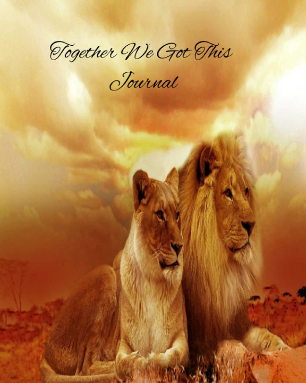 Together We Got This Journal