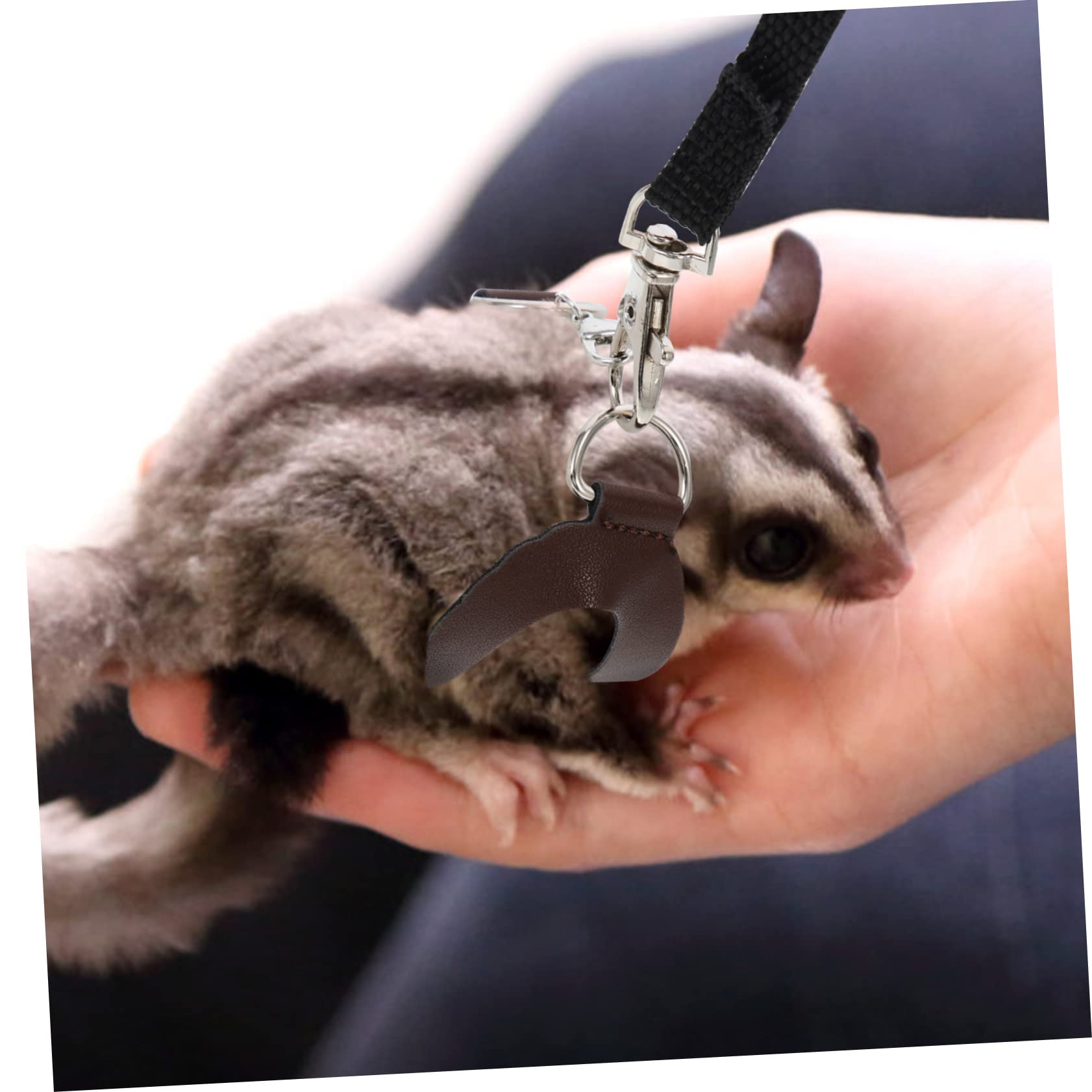 Mipcase 10sätze Tragbare Hamstergeschirre Mit Bequemes Zubehör Für Kleine Haustiere Für Outdoor-Abenteuer Und Tägliche