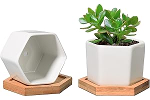T4U Tiny Hexagon Planters with Bamboo Tray for Unique Home and Office Decor