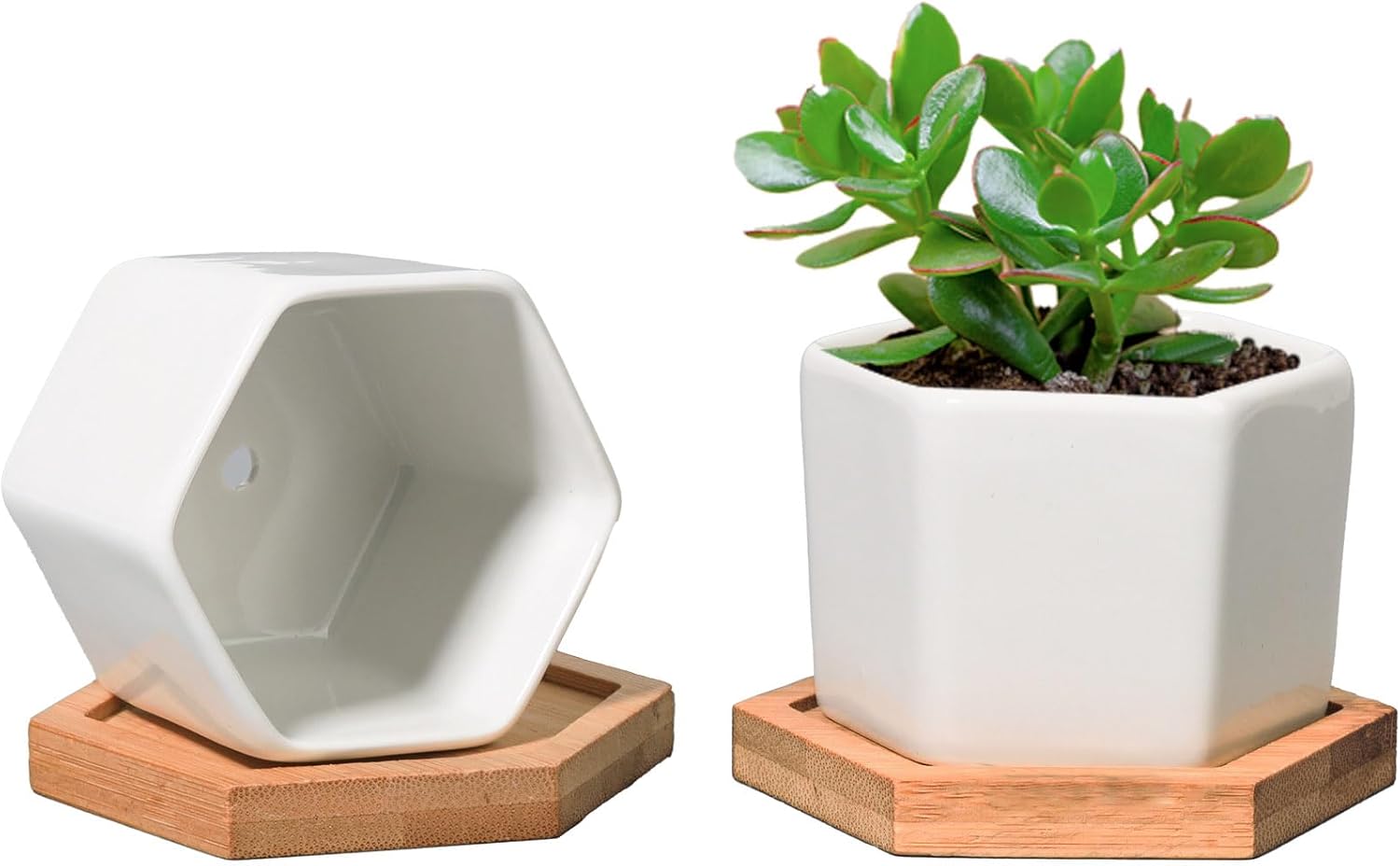 T4U White Hexagon Succulent Planter Pots Set of 2 with Bamboo Tray - Ceramic Geometric Cactus Holders for Desk Decor & Gifts