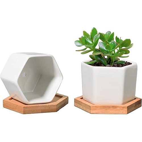 T4U Small White Succulent Planter Pots with Bamboo Tray Hexagon Set of 2, Geometric Ceramic Cactus Plant Holder, Succulent Plant Gifts for Gardener Women Coworker, Home Office Table Desk Decoration