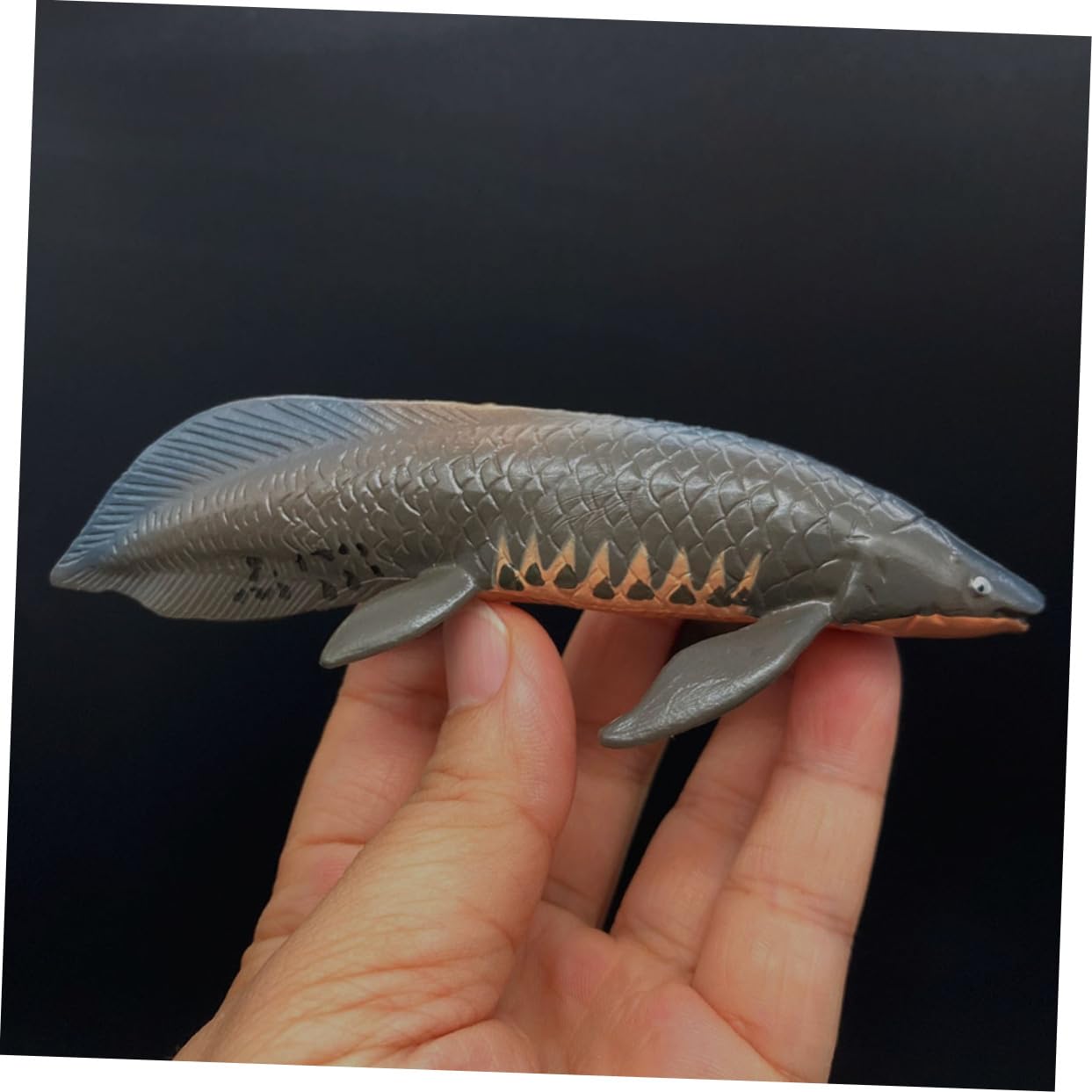 Amazon.co.jp: MUSISALY 模擬ピラルクモデル プラスチック製