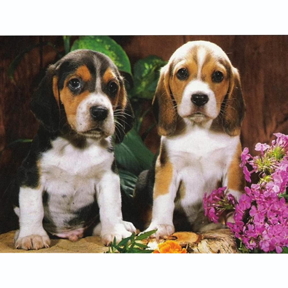 Kit Broderie Point De Croix Beagle - Toile 11CT 30x40 Cm Pré-imprimée - Pour Débutants, Activité DIY Déco
