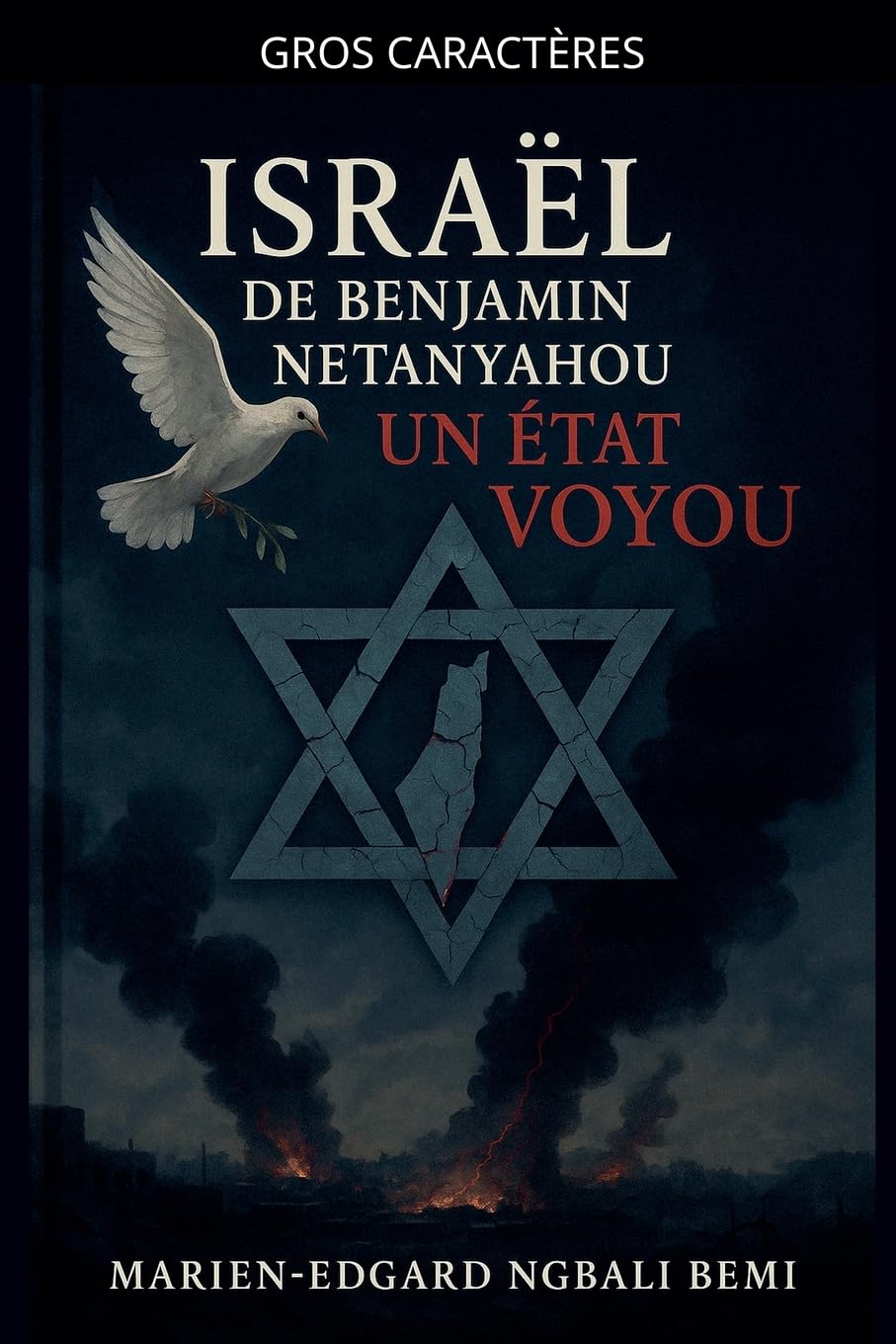 Israël de Benjamin Netanyahou, Un État Voyou !