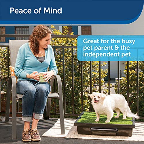 Best Balcony Dog Potty in 2021 Kinda Pets
