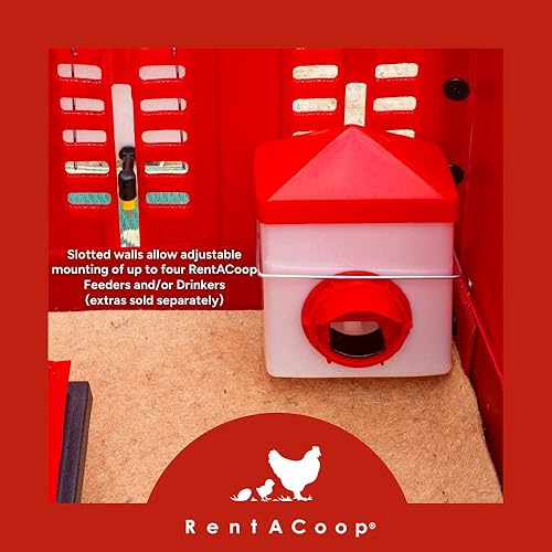 Miniatura 6 de RentACoop Little Red Barn - Juego de cría plegable para pollitos  Capacidad para 4 pollitos de hasta 8 semanas de edad  El juego todo en uno incluye