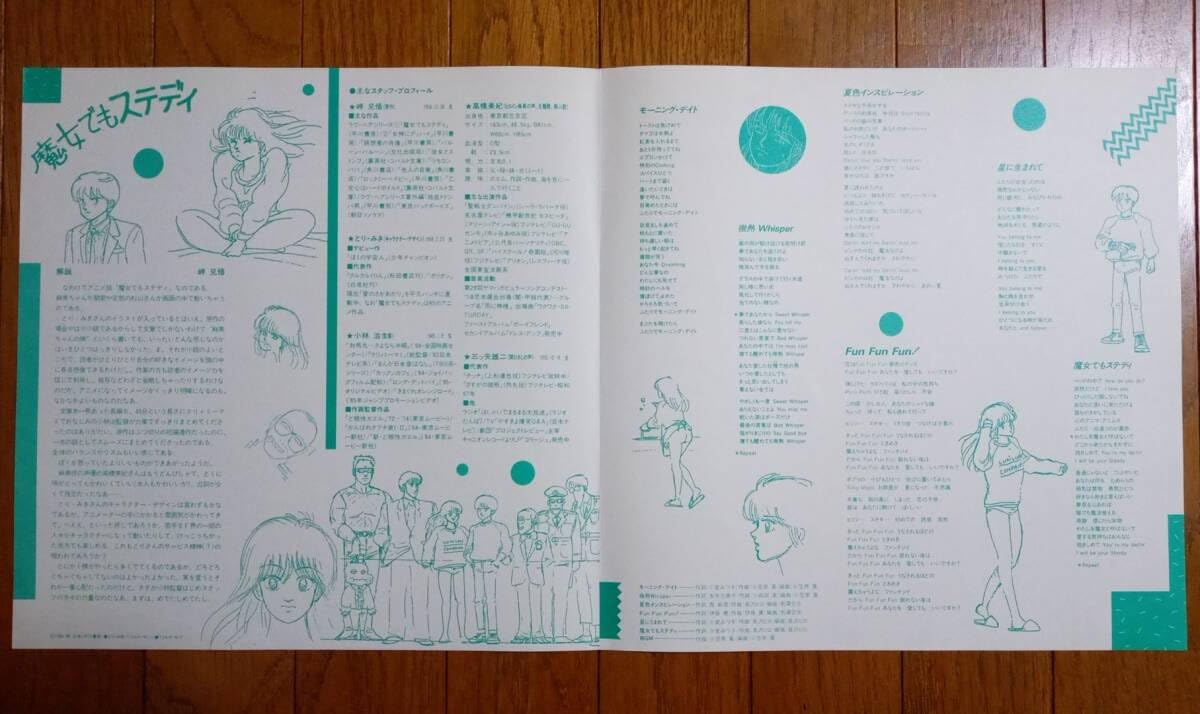 Amazon.co.jp: 魔女でもステディ レーザーディスク LD : パソコン 