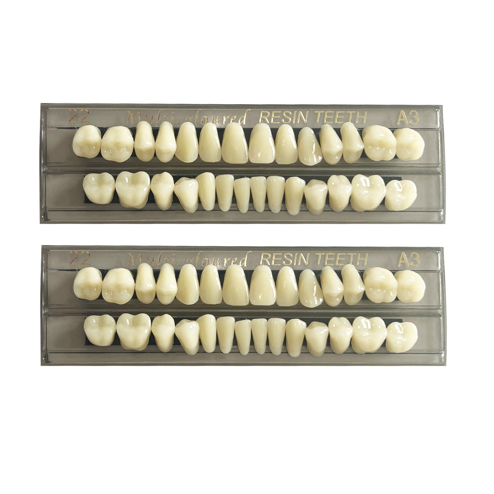 Lot de 56 fausses dents en résine synthétique - 22 A3
