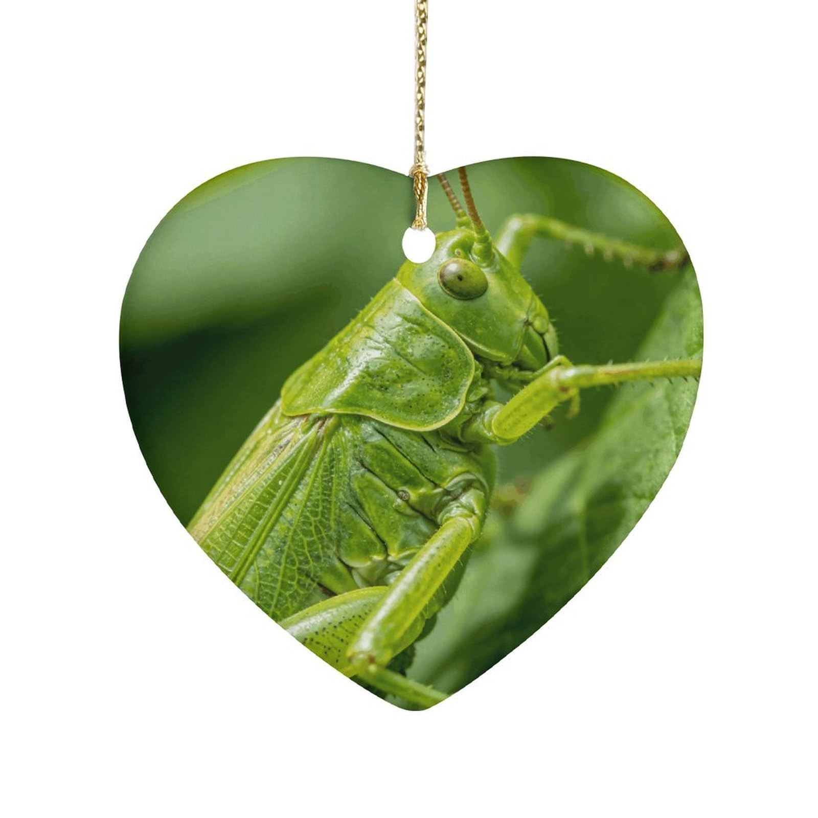 Khauerbc Style Insect-Greenheart Shaped Ceramic Ornament With String,Ceramic Ornament,Two-Sided Printed For Christmas Tree And Holiday Decoration
