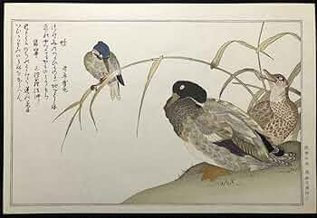 水彩画　　タイトル【　鴨　】鳥の羽に鴨の絵が描かれてます。壁掛け額装　直筆サイン 水彩画 タイトル【 鴨 】鳥の羽に鴨の絵が描かれてます。壁掛け