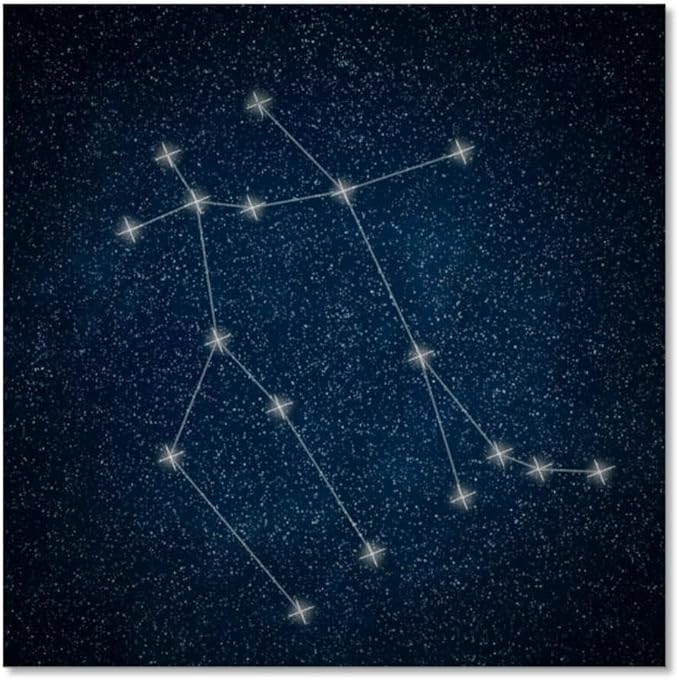 Gemini Constellation Zodiac Sign Gemini constellation lines Galaxy Canvas Wall Art for Bathroom Bedroom Pictures Wall Decor Living Room Kitchen Office Framed Poster Prints Artwork Painting 16x16