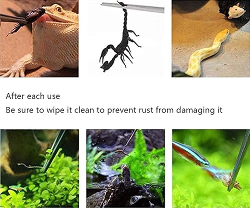 Miniatura 4 de MRTIOO Pinzas de alimentación largas de acero inoxidable para reptiles lagartos serpiente gecko y tarántula terrarios acuario pecera plata 2 unidades