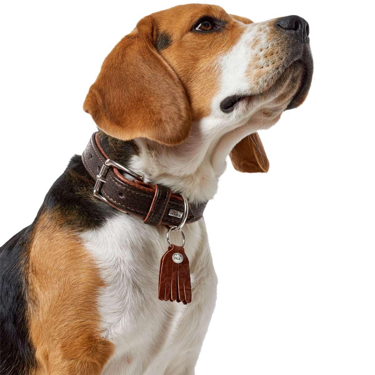HUNTER CODY Hundehalsband, Leder, rustikal, weich, 45 (S), dunkelbraun/cognac