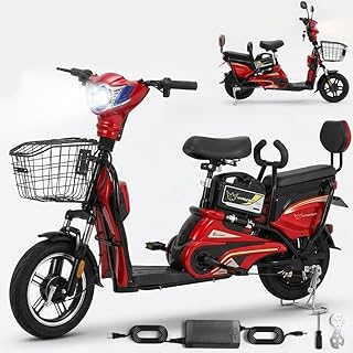 WINDHORSE M1 Electric Delivery Bike 400W Motor