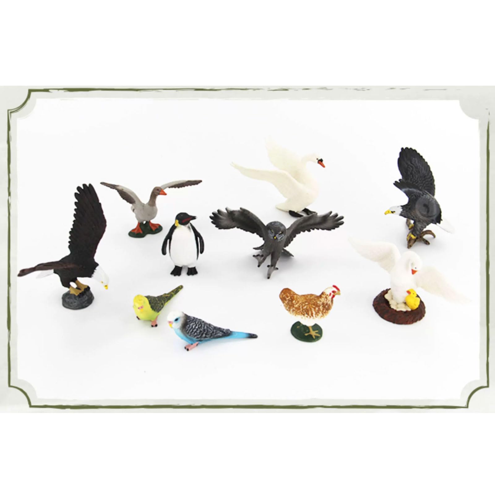 Kit Figure Uccelli Selvatici Montessori, Modelli Animali Avicoli Realistici | Riconoscimento degli Uccelli e Gioco Sensoriale Mini Modelli di Uccelli Selvatici e Domestici per Bambini Piccoli