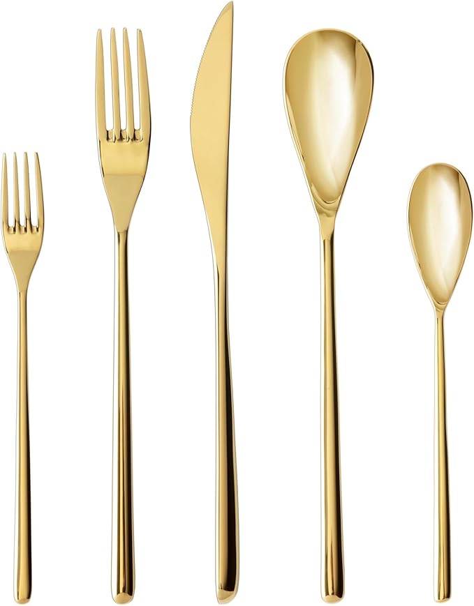 Fortessa Dragonfly 18/10 Stainless Steel, 20 Piece Flatware Set (Service