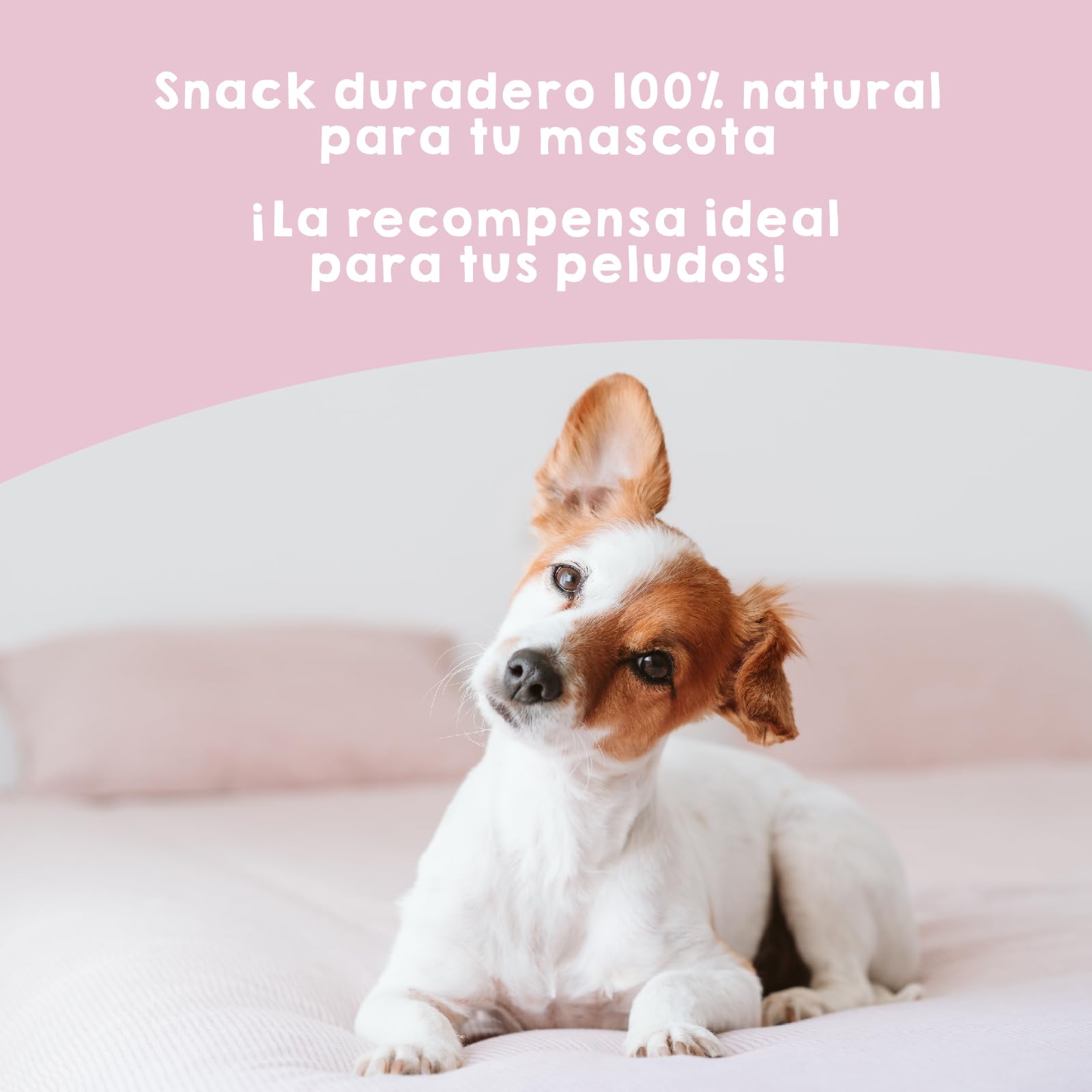 MAIKAI Pack 10 Orejas de Cerdo para Perros Golosinas Naturales para Perros Snacks 100% Naturales y Mordedor Natural Alternativa a Huesos Premios Saludables para Perros