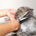 5 Pieces Dog Grooming Scissors Kit Stainless Steel Pet Cat Grooming Kit for Dogs Cats Pets Professional 5 in 1 Hair Scissors Set with Curved Scissor, Thinning Shear, Comb (Blue)