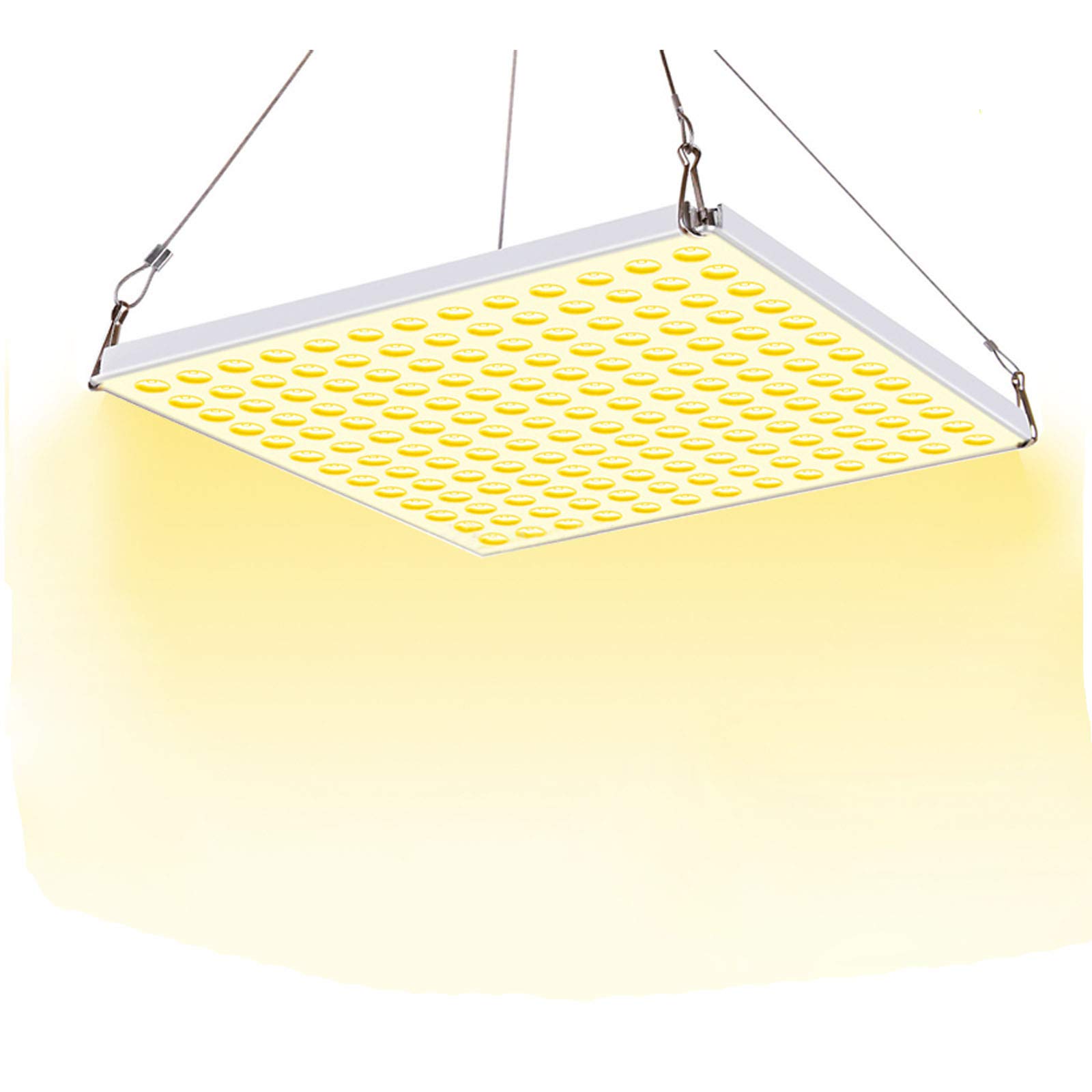 Luce LED per coltivazione di piante da 1000 W, luce per crescita di piante a spettro completo, utilizzata per piante da interno, verdure e fiori Luce per crescita in serra (169 LED Potenza effettiva