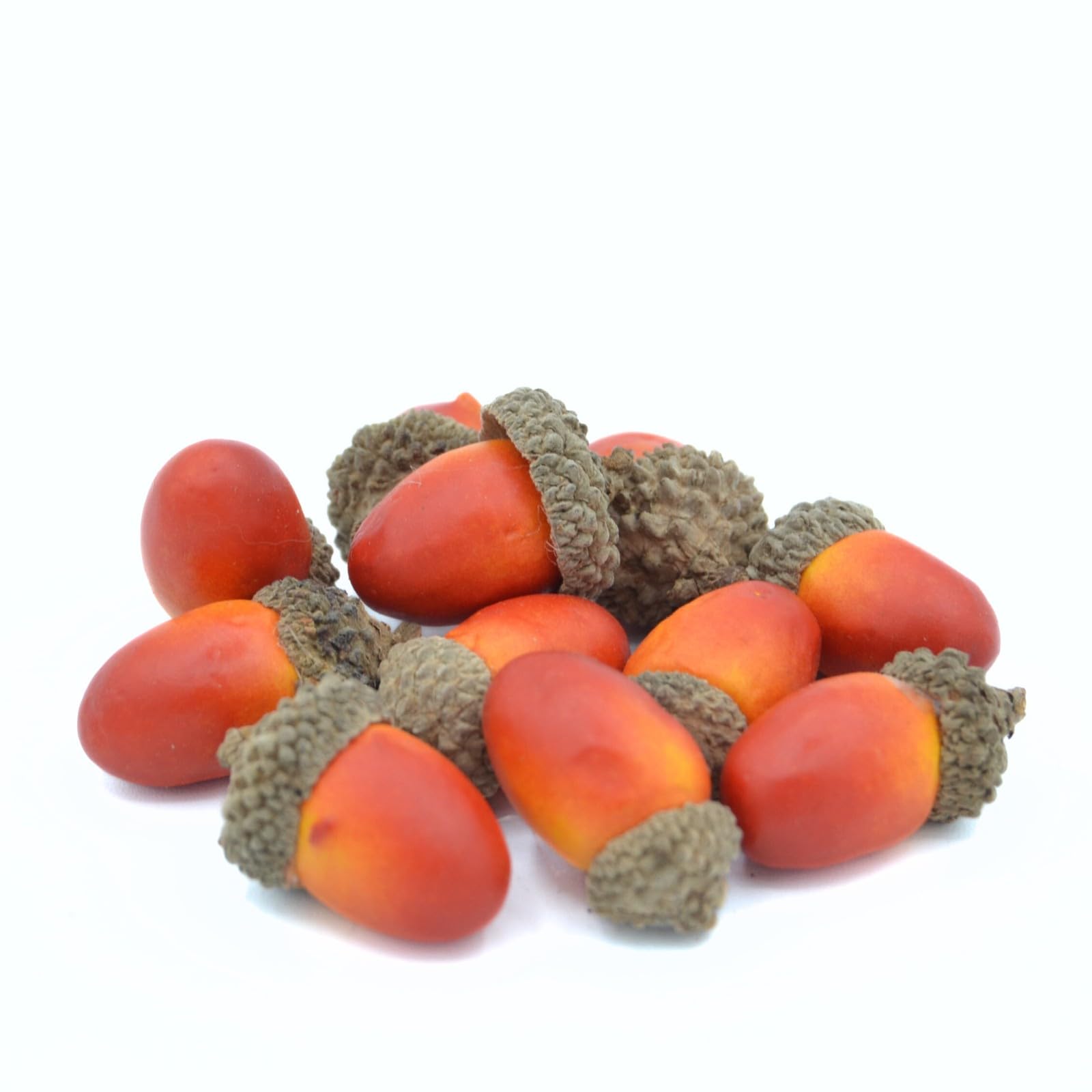 celloexpress Orange & Yellow Artificial Acorns for Arts & Crafts, Wreaths, Floral Arrangements, Festive Decorations (Pack of 10)