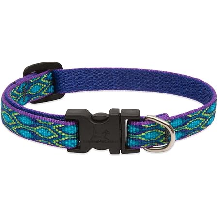 using shock collars on puppies