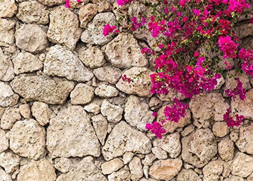 Fond photo fleurs de printemps BELECO 2.7x1.8m pour anniversaire