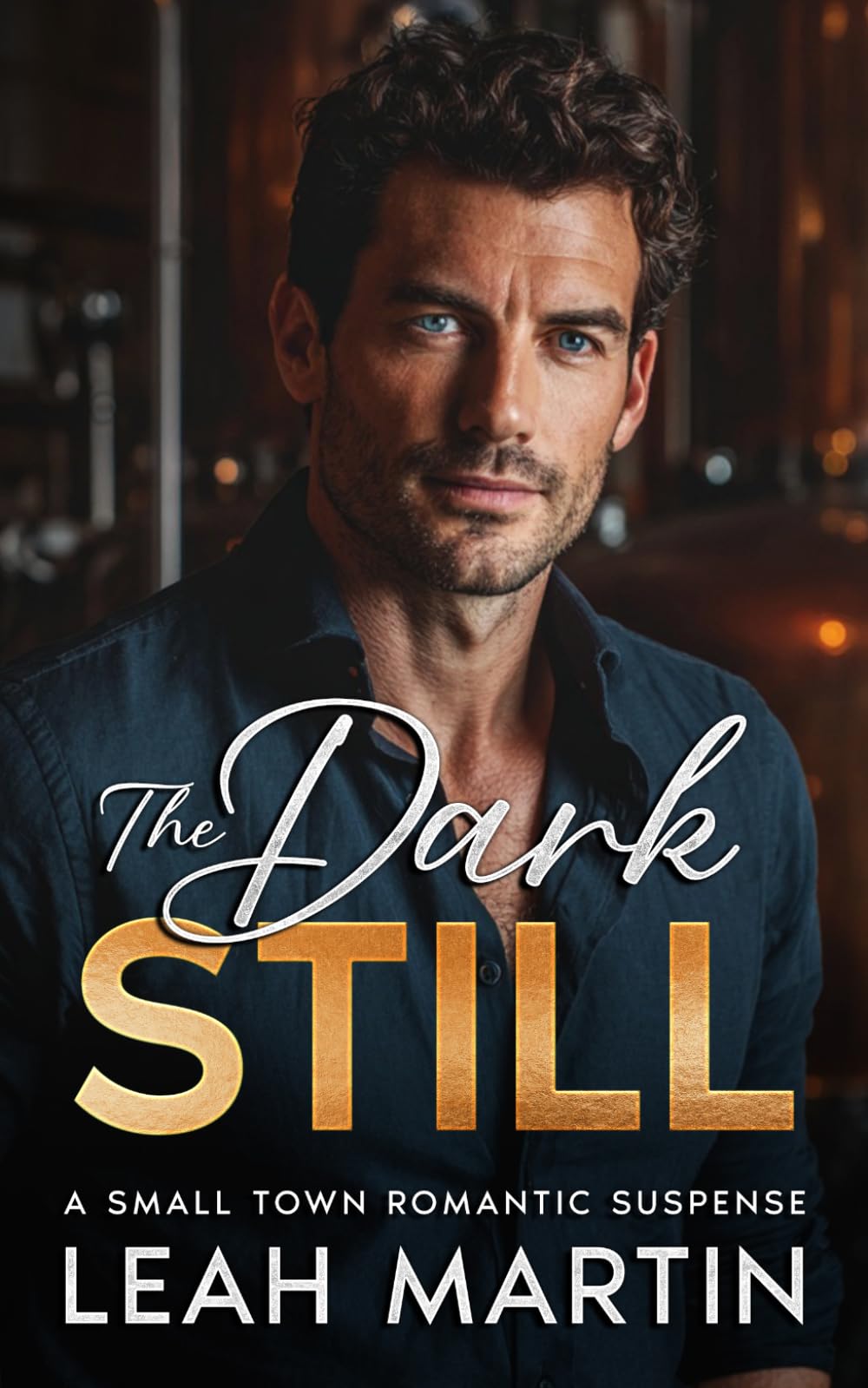 The Dark Still: A Small Town Romantic Suspense