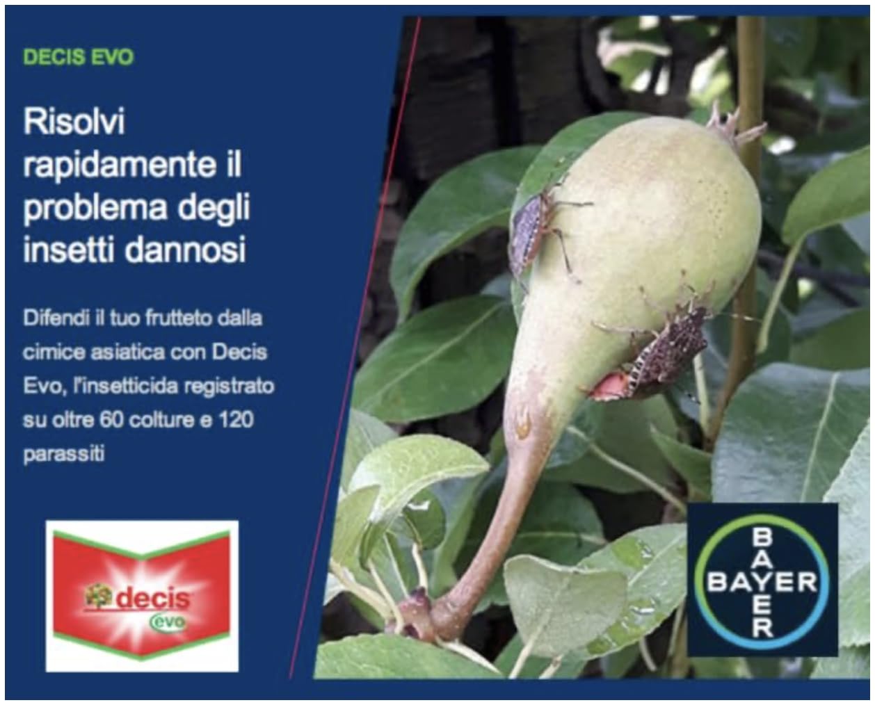 Decis Evo insetticida 250 ml