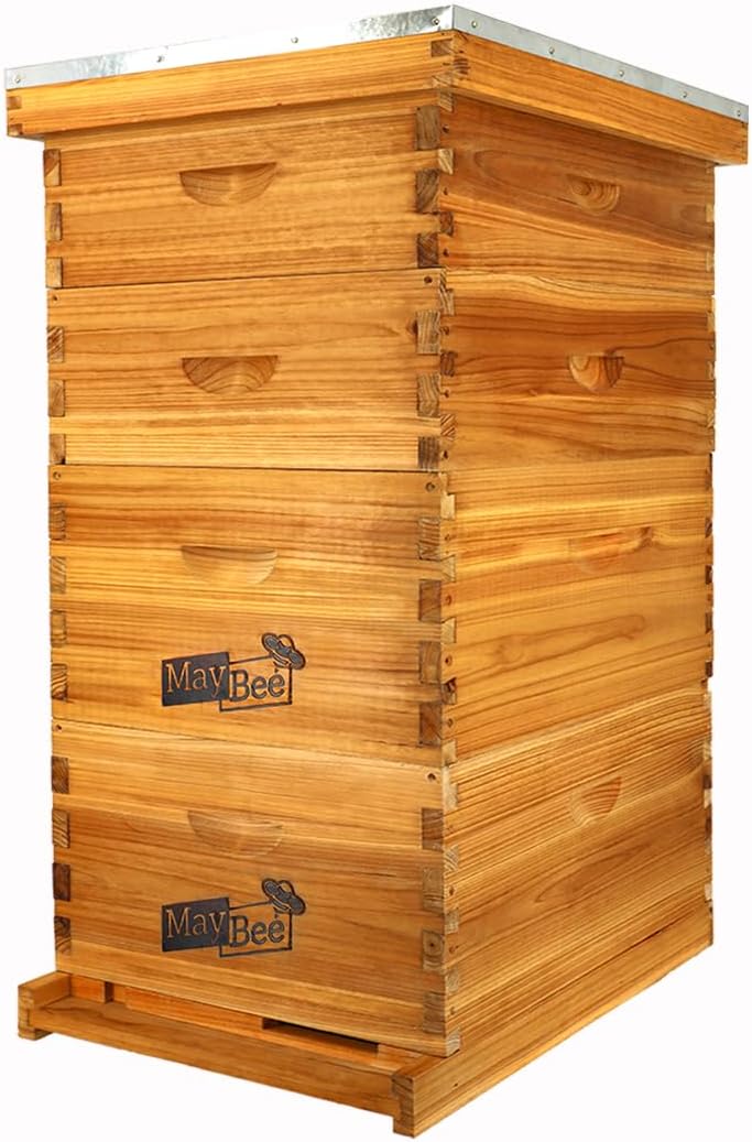 10-Frame Langstroth Beehive Dipped in 100% Beeswax, Complete Bee Hives and Supplies Starter Kit Includes 2 Deep Hive Bee Box and 2 Bee Hive Super with Beehive Frames and Foundation