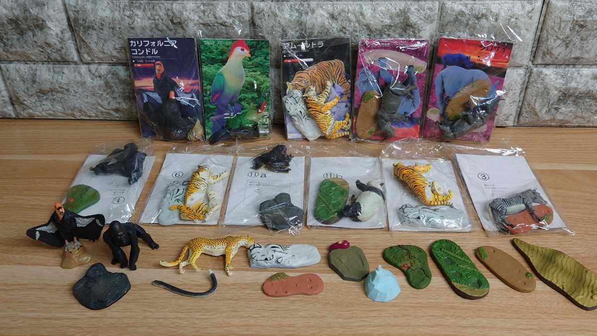世界の動物コレクション　動物世界遺産　レッド・データ・アニマルズ　フィギュア 世界の動物コレクション 動物世界遺産 レッド・データ・アニマルズ