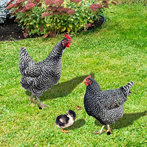 Chicken Yard Art Chicken Ornaments Decorative Garden Chicken Statue Yard Art Hen Stake Ornaments Chicken Garden Animal Figurine Decoration For Outdoor 3Pcs #TOP4