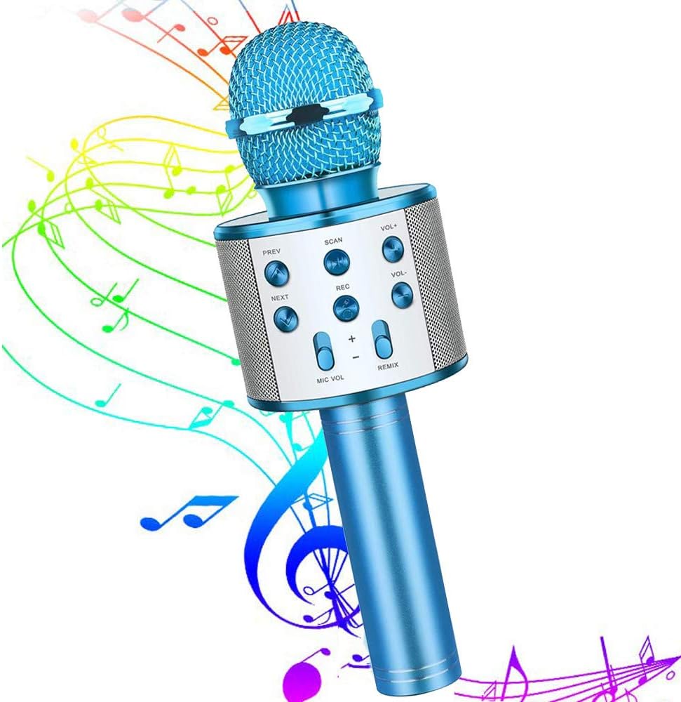 reverb microphone toy