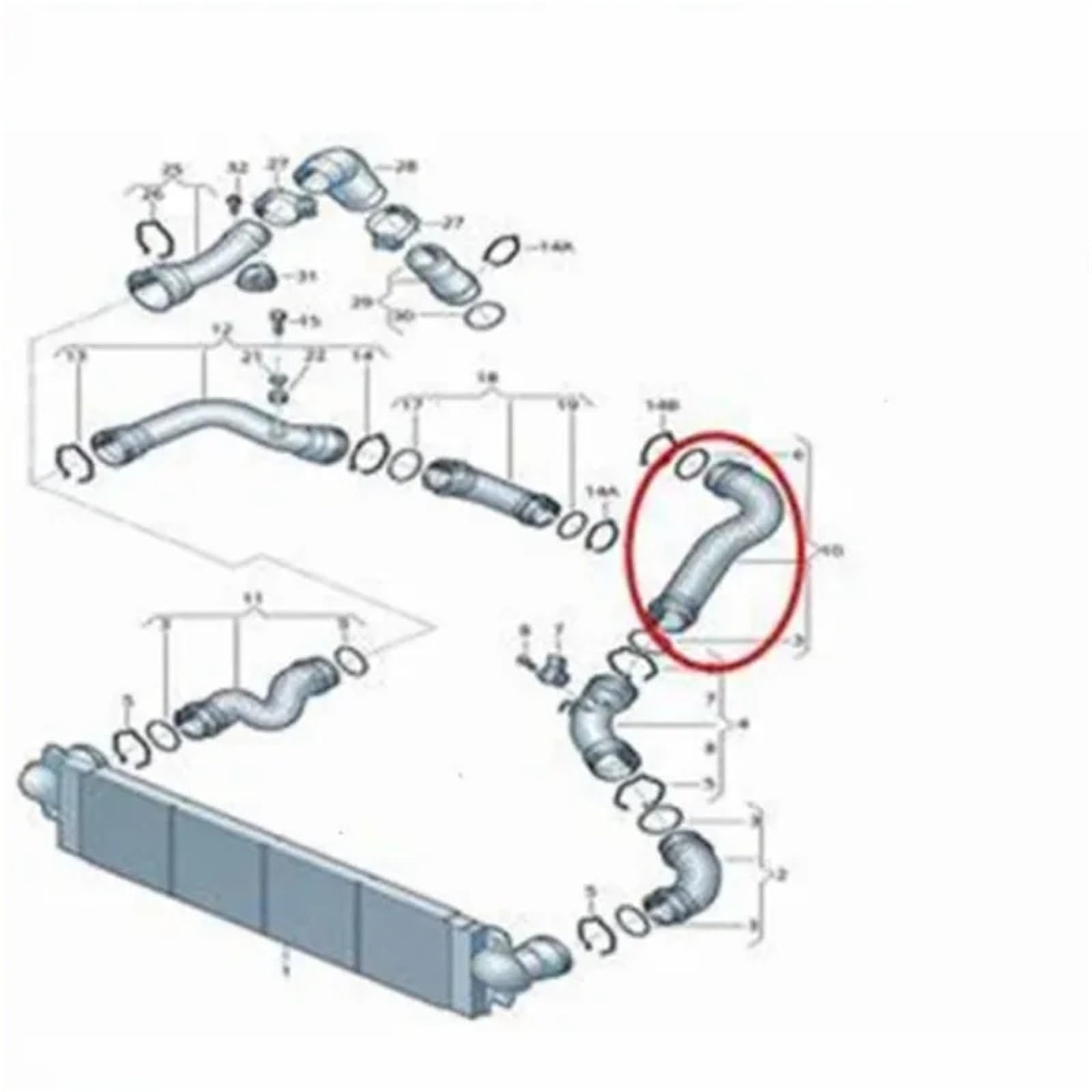 Abrazaderas de manguera Manguera de turbo refrigerante del tubo refuerzo intercooler motor para VW Campmob Transporter T5 1.9 Tdi Piezas de repuesto