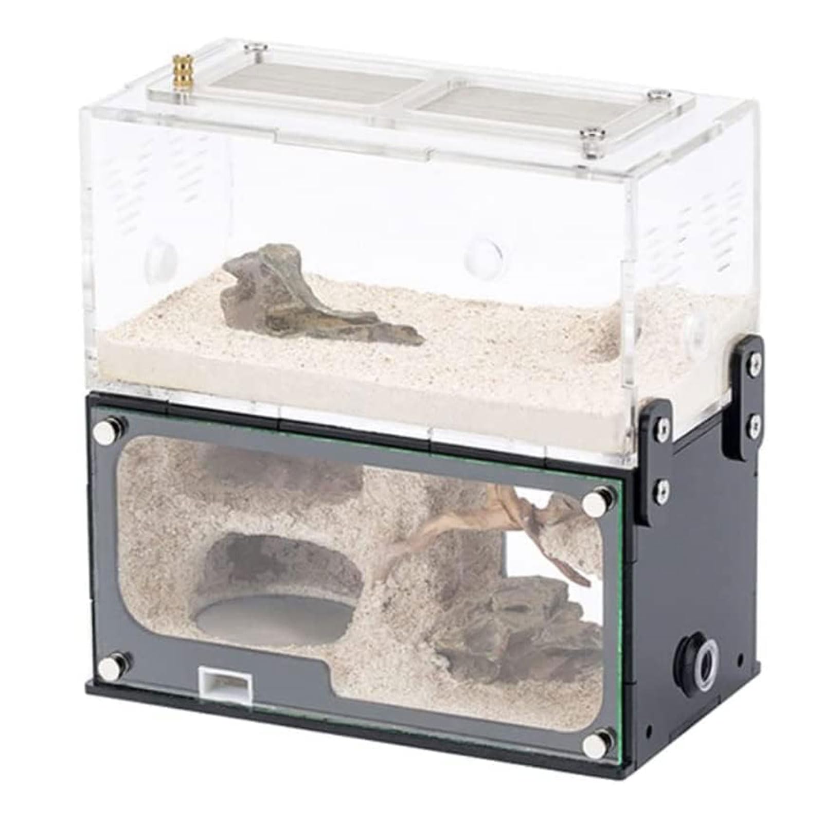 DESONIX Acryl-Ameisenfarm, Ameisen-Terrarium, Ameisenhaus, kann gespleißt Werden, Ameisennest, Nachahmung, Original, ökologischer Beton, Ameisenwerkstatt, Insektenvilla, Ameise