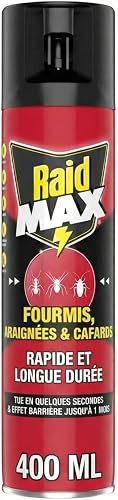 Raid Max Fourmis, Araignées et Cafards - 2 en 1 Action Rapide et Longue Durée - 