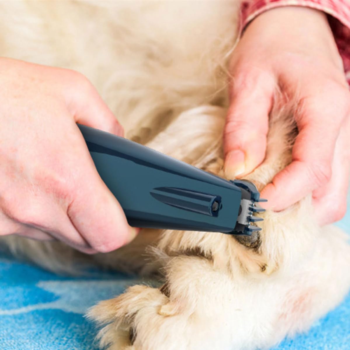 Happyyami Recortador de Pelo para Patas de Perros y Gatos Diseño Ruido y Material Abs Resistente, Herramienta Eléctrica Portátil para Peluquería Canina