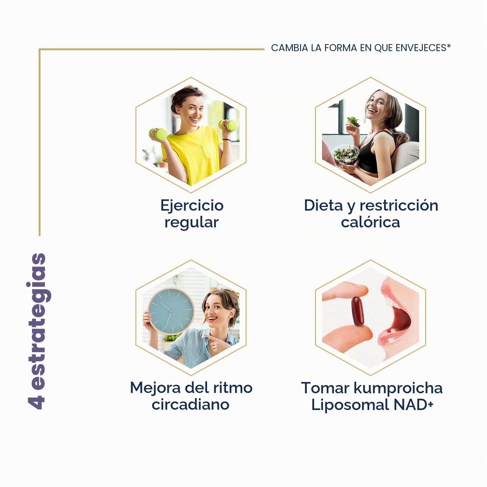 Liposomal NAD+ 500 mg con TMG 250 mg cápsulas blandas, suplemento NAD+ actual para la reparación celular y el metabolismo energético(60 Unidad (Paquete de 3))