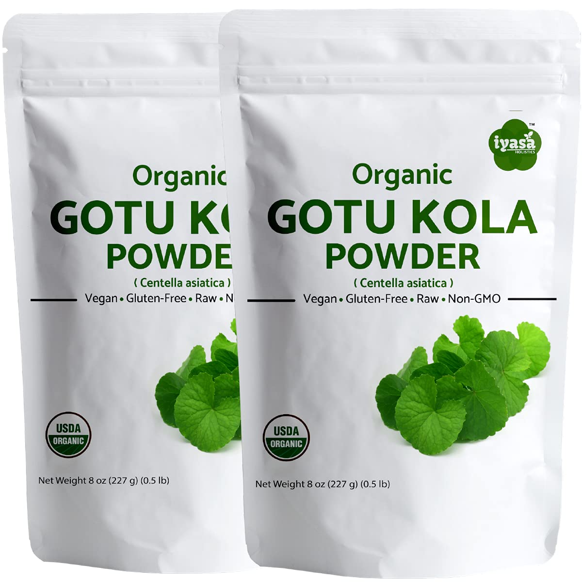 Iyasa Holistics Organic Gotu Kola Powder, Centella asiatica, Brahmi, Powder, Resealabl Pack of 16 oz/454 gm/1 lb Pound, Raw Superfood,