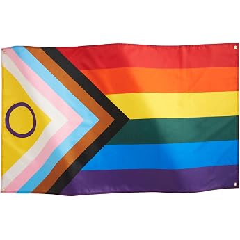Runesol Gay Pride Flag 91 x 152 cm 3 x 5 ft LGBTTIQ 4 Eyelets Brass Eyelet in Each Corner Parade Festival Party Carnival Premium Flags for Indoor and Outdoor Use Vibrant Colors