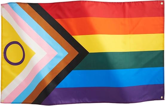 Runesol Progress Pride Flag 3x5, 91x152cm, LGBTQ+ Intersex Rainbow, 4 Grommets, Brass Eyelet in Every Corner, Parade, Festival, Party, Carnival, Premium Flags, Inside, Outside, Vivid Colours