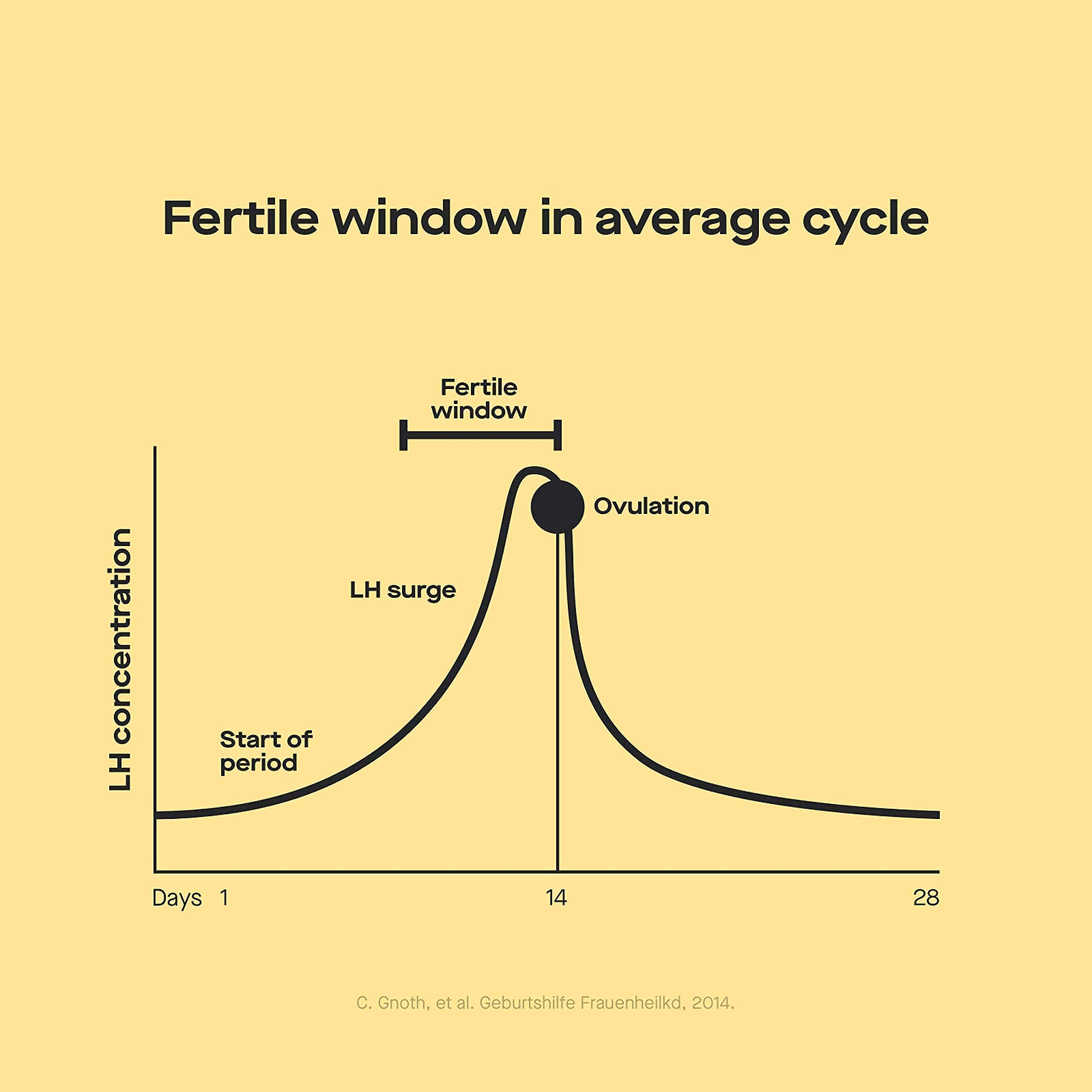 Modern Fertility Ovulation Kit atHome Test Helps You Identify