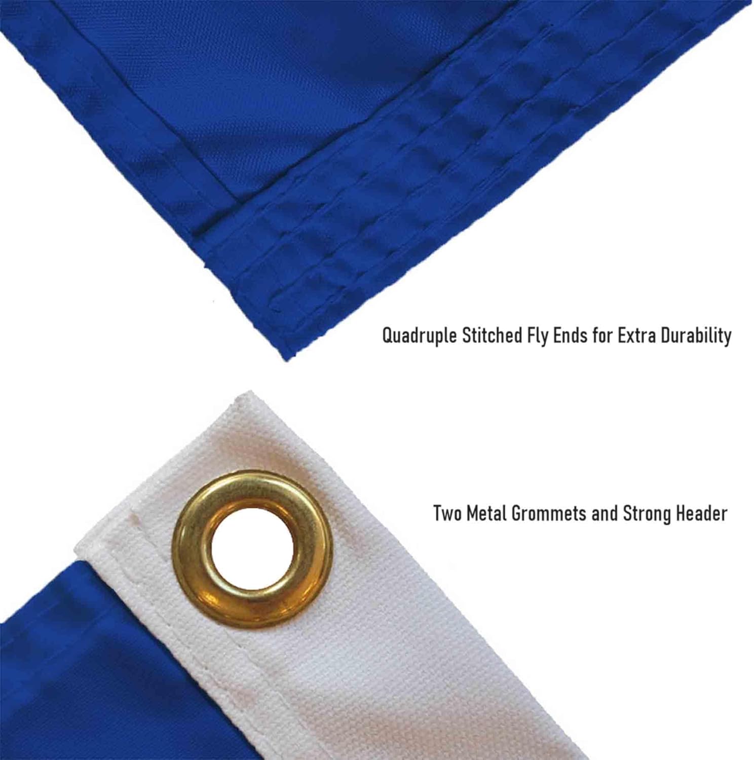 College Flags & Banners Co. Grand Valley State Lakers Primary Logo Large Grommet Banner Flag