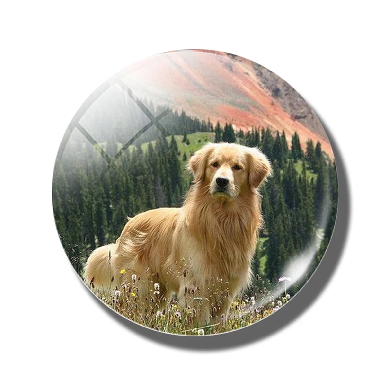 Fridge Magnets 6pcs 30 MM Fridge Magnet Lover Glass Dome Magnetic Refrigerator Stickers Note Holder Home Decoration(Color-21)