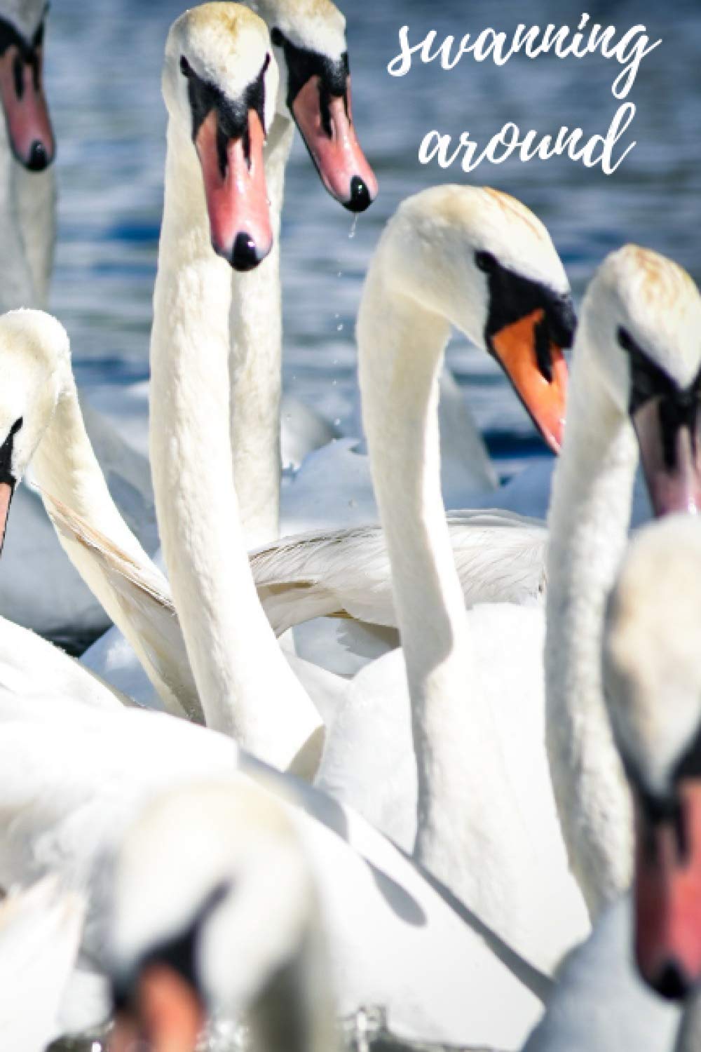 Swanning Around: Journal Ruled Lined Notebook
