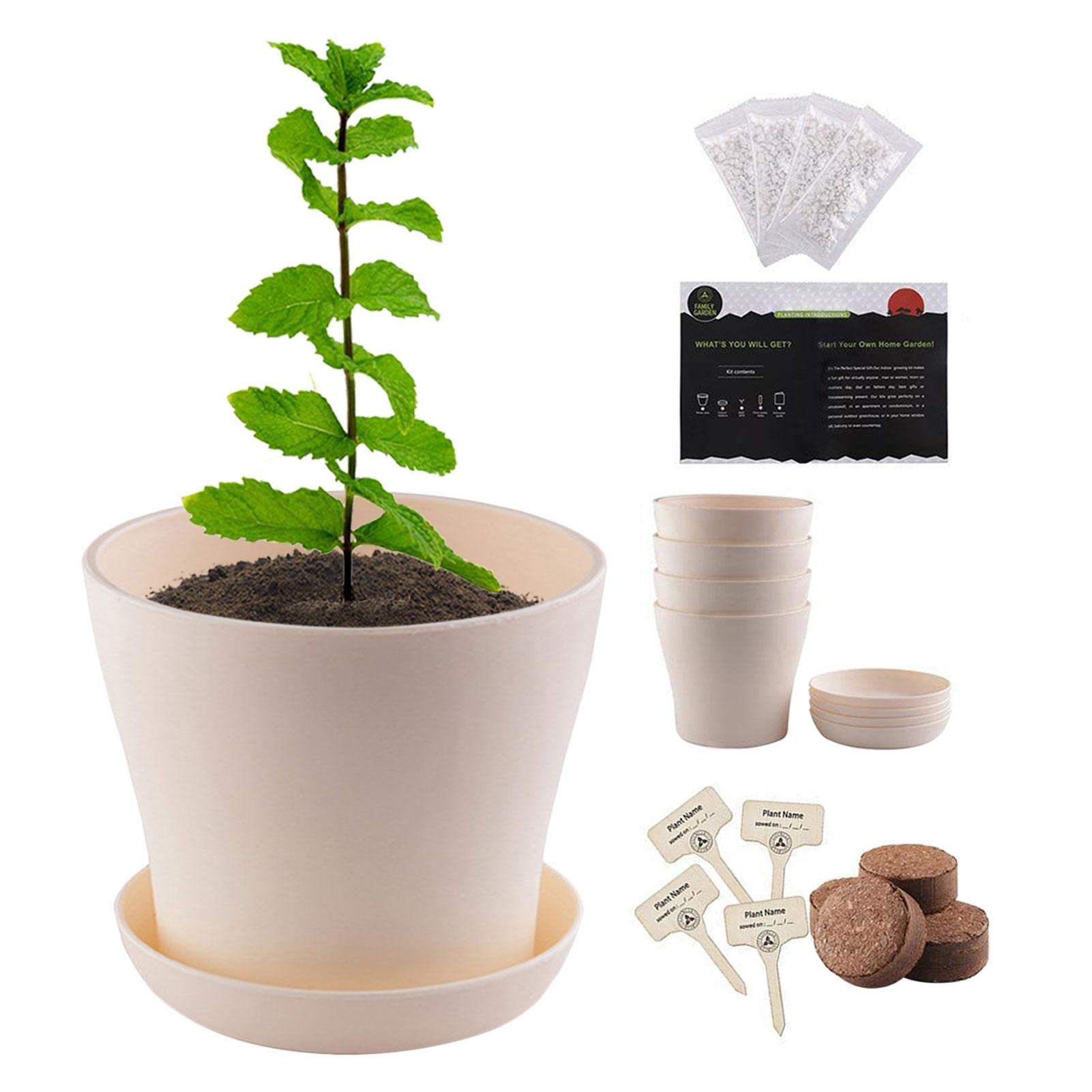 Kit de culture d'herbes de bonsaï, kit de plantation de plantes d'herbe intérieure, kit de croissance du jardinage novice, kit de démarrage en croissance de plante intérieure, DIY Kit de culture de cu