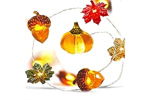 BOHON Thanksgiving Decoration Acorn 3D Pumpkin Maple Leaf String Lights