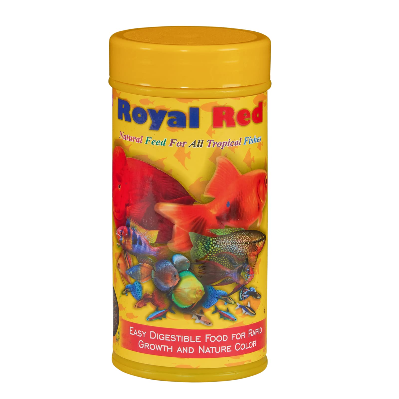 JSquare Royal Red Natural Fish Food | Easy Digestible Fish Food for Aquarium Fishes Like Arowana, Guppy, Tetra, Gold Fish, Betta | Daily Diet | Enhance Natural Color & Fast Growth | 100 Grams (B0C6DMCP1Z) Amazon Price History, Amazon Price Tracker
