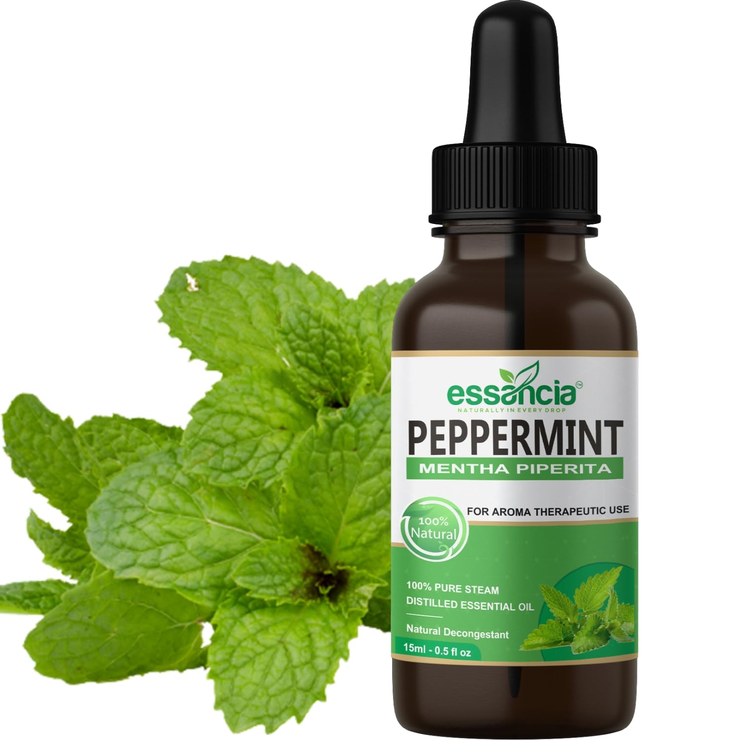 Peppermint Essential Oil, 100% Pure, 15ml Bottle for Aromatherapy and Homemade Products (15 ML)